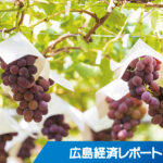 スマイルアグリが「果実の森公園」事業譲受　